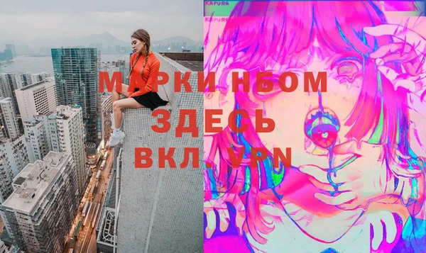 сатива Липки